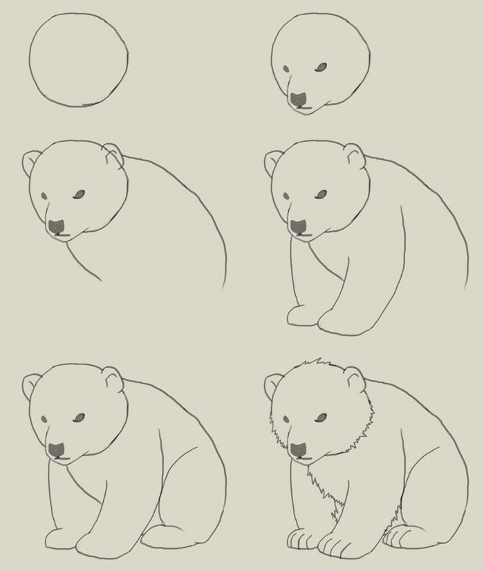 熊-简笔画版