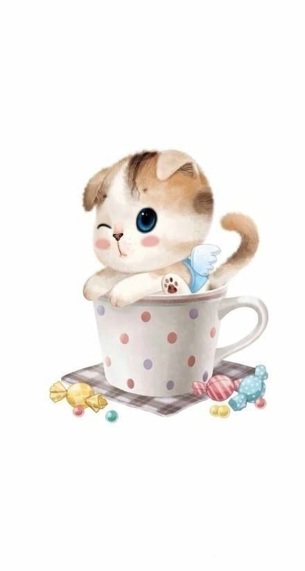 cuteֻȳè