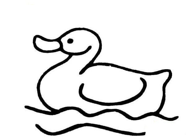 鸭子-简笔画版-幼师宝典官网