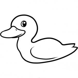 鸭子-简笔画版-幼师宝典官网