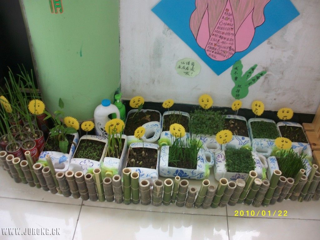 自然角里各种各样的花盆