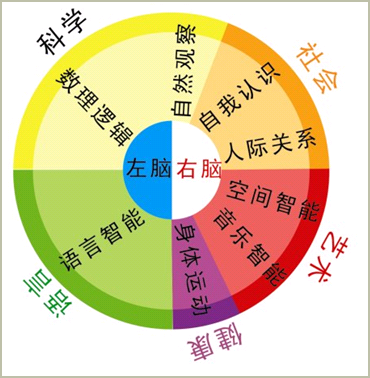 课程方面,国内幼儿园90%以上都是以五大领域课程为主.