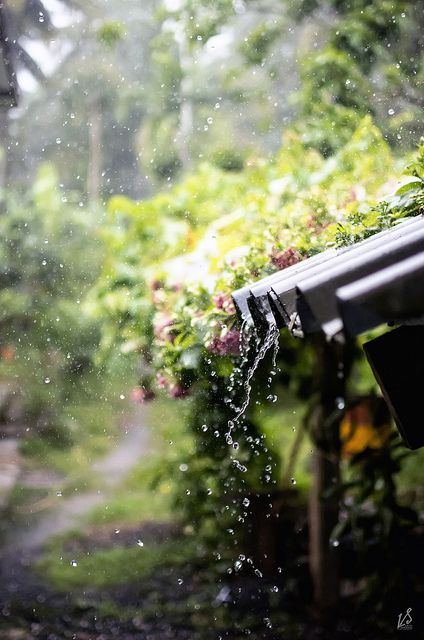 细雨| 下雨天只会睡觉?这十个游戏给你和孩子雨天的