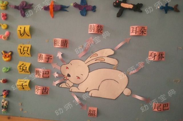 主题墙 | 中班主题墙创设《动物朋友》