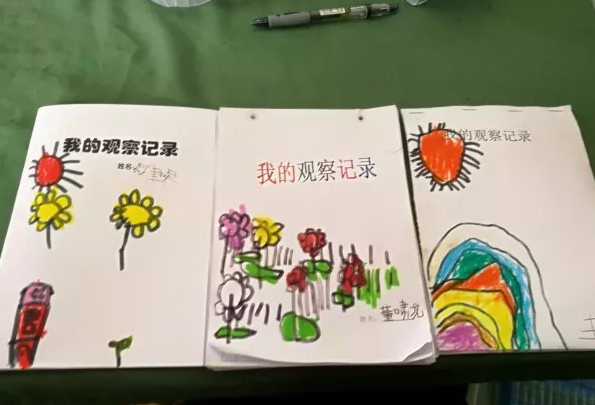 幼儿园春季种植活动 | 为我们的地球增添一抹绿