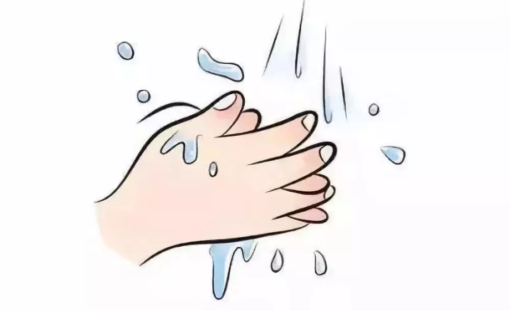 保健小知识 --- 你真的会洗手吗?