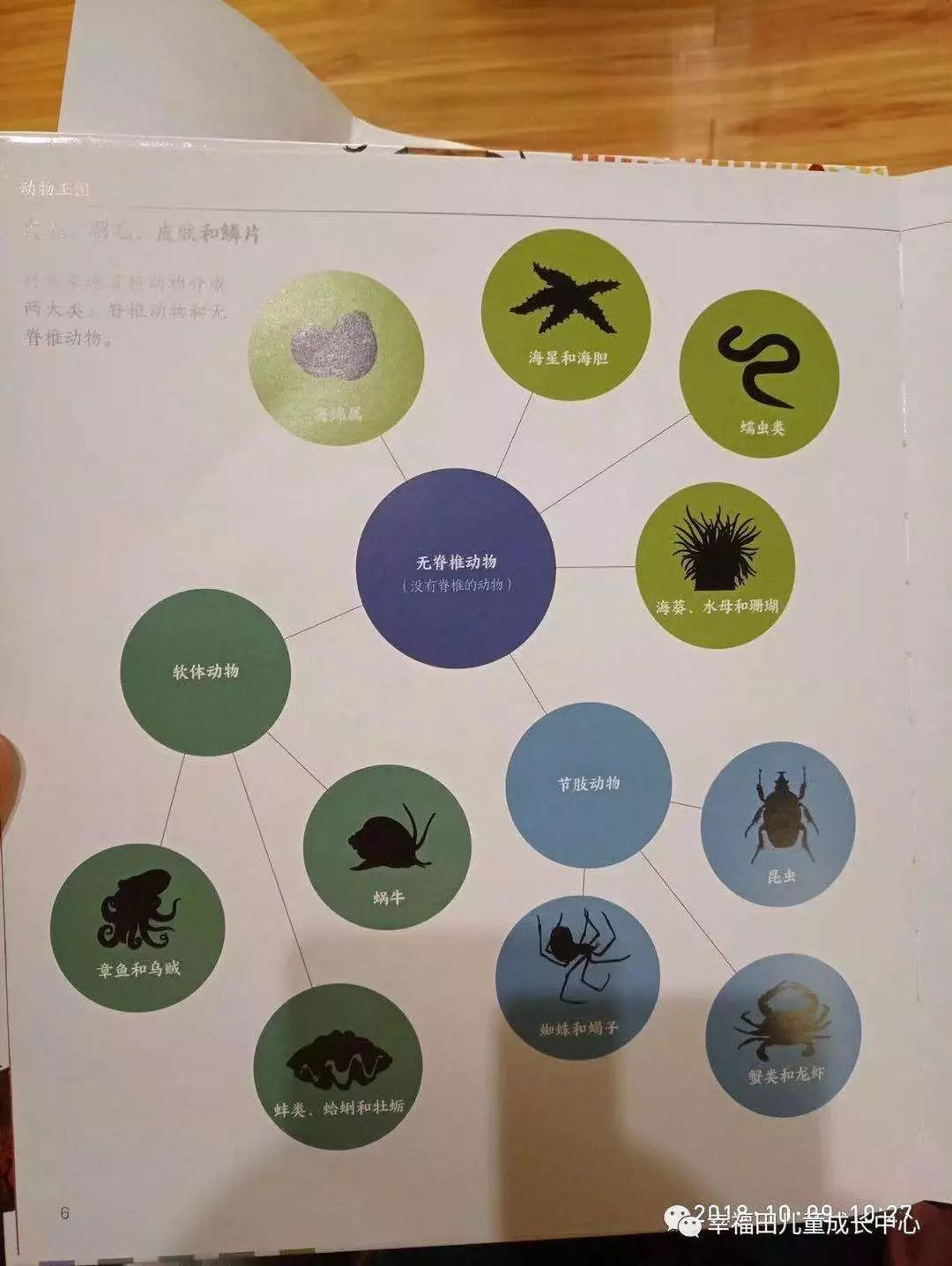 教师请幼儿回家查阅资料了解蚯蚓生存环境的知识,并在班级投放关于