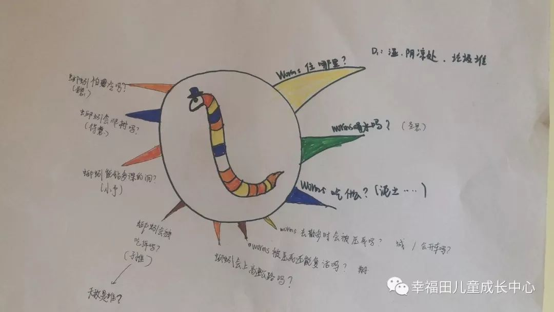 主题活动孩子们的蚯蚓探究日记