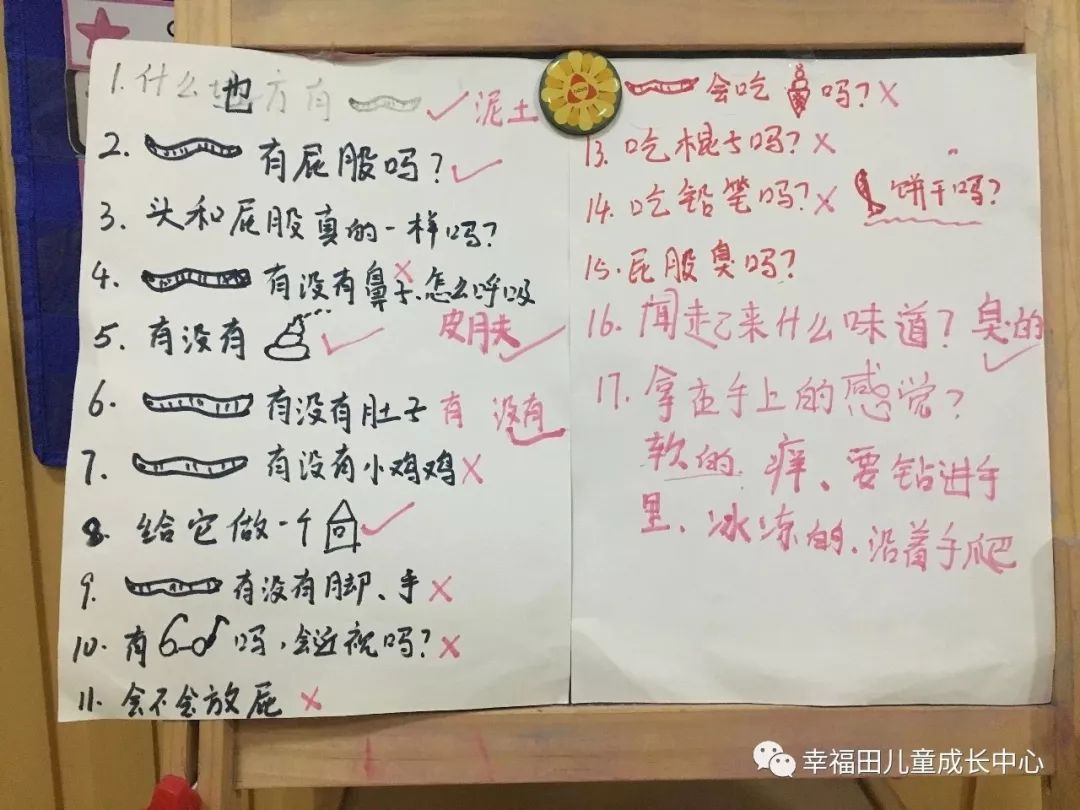 主题活动 | 孩子们的蚯蚓探究日记
