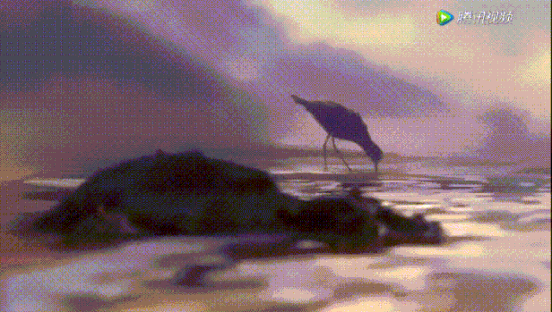 皮克斯2016动画长片《海底总动员2》的前贴片,讲述了一只饥饿的小矶鹬