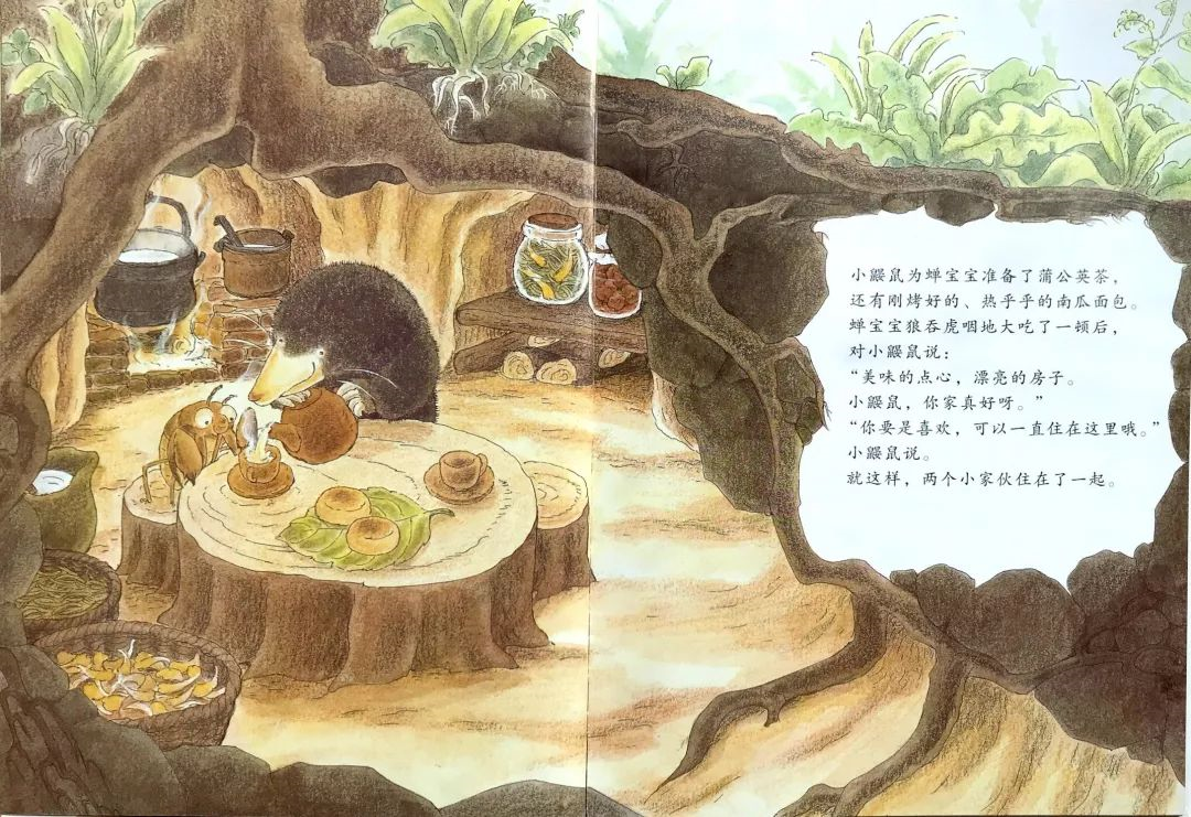 绘本欣赏小鼹鼠和蝉宝宝