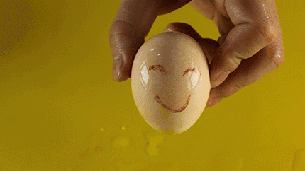 春分不出门,宅家研究鸡蛋的