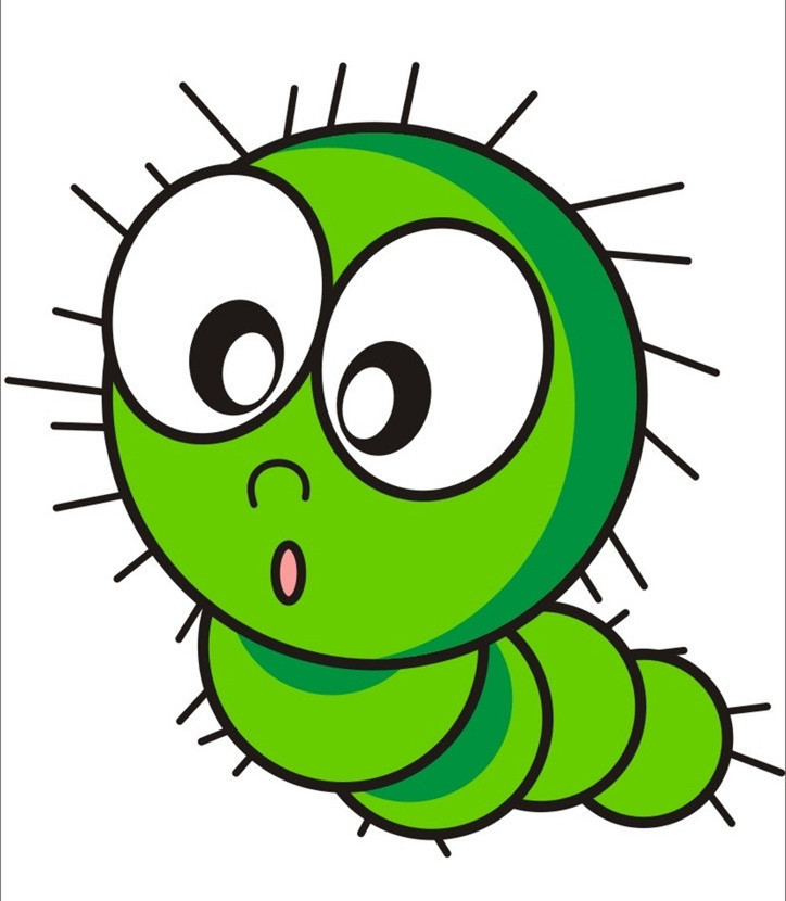 中班英语活动:insects(昆虫)