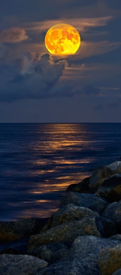 中秋系列--满月-幼师宝典官网