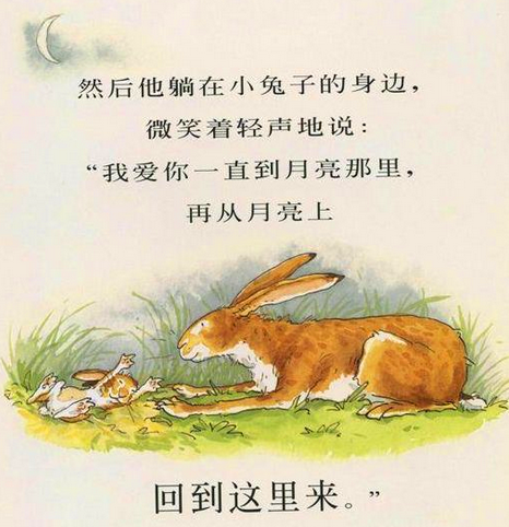 中班语言活动猜猜我有多爱你