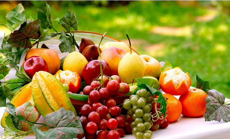 小班主题活动《丰收水果店》