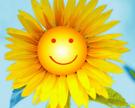 幼儿园大班社会教案:微笑