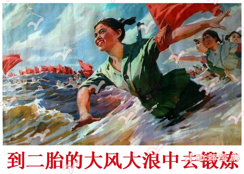 人生若只如初见,幼儿园里天天见