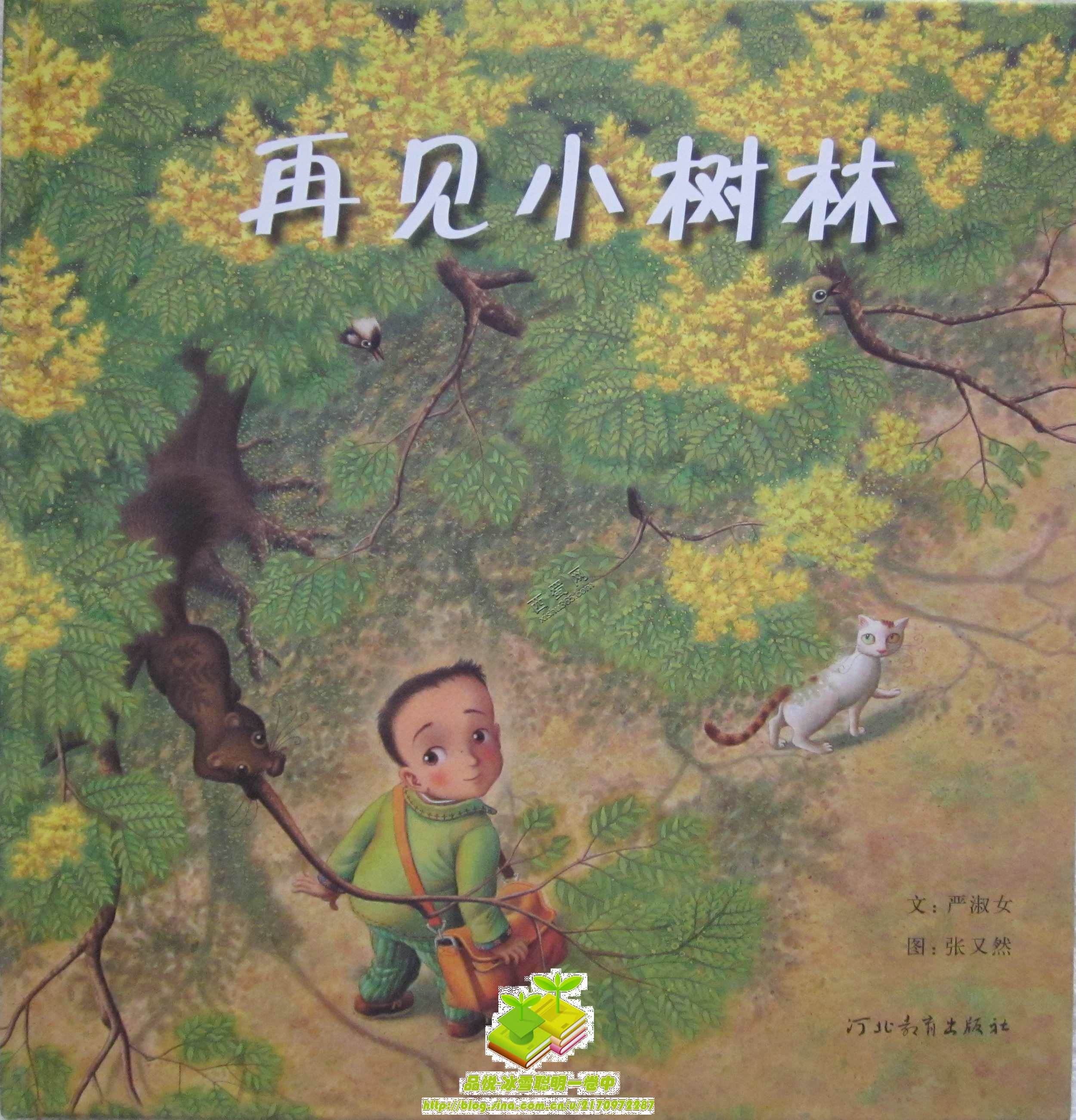 一场关于大树的探究活动