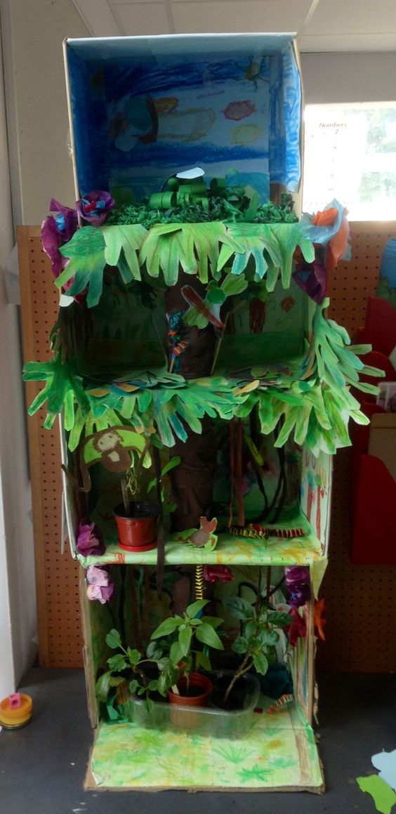 打造"奇幻森林"主题教室