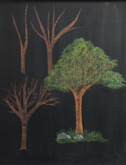 黑板报树木画法图片