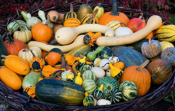 最后,一起了解一下其他国家的"感恩节": 日本11月23日的"勤劳感谢日"