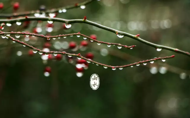 二十四节气 第二节 | 雨水,最是一年春好处-幼师宝典官网