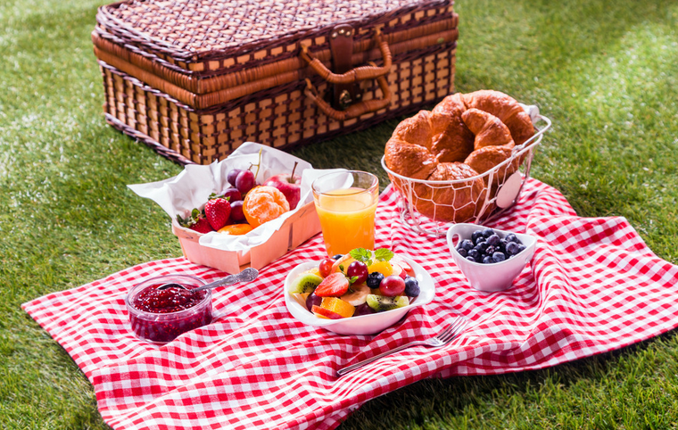 春游活动方案户外美食节我和春天有个约会