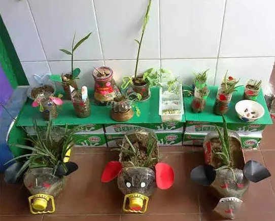 塑料瓶的废旧利用 100种塑料瓶变花盆的方法 这样改造多少钱都不卖 幼师宝典官网