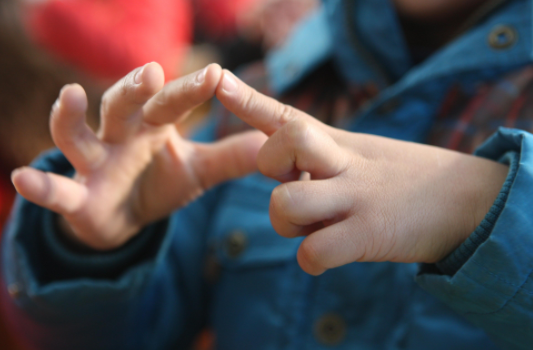 手指操 | 幼儿园值得珍藏的45种手指操