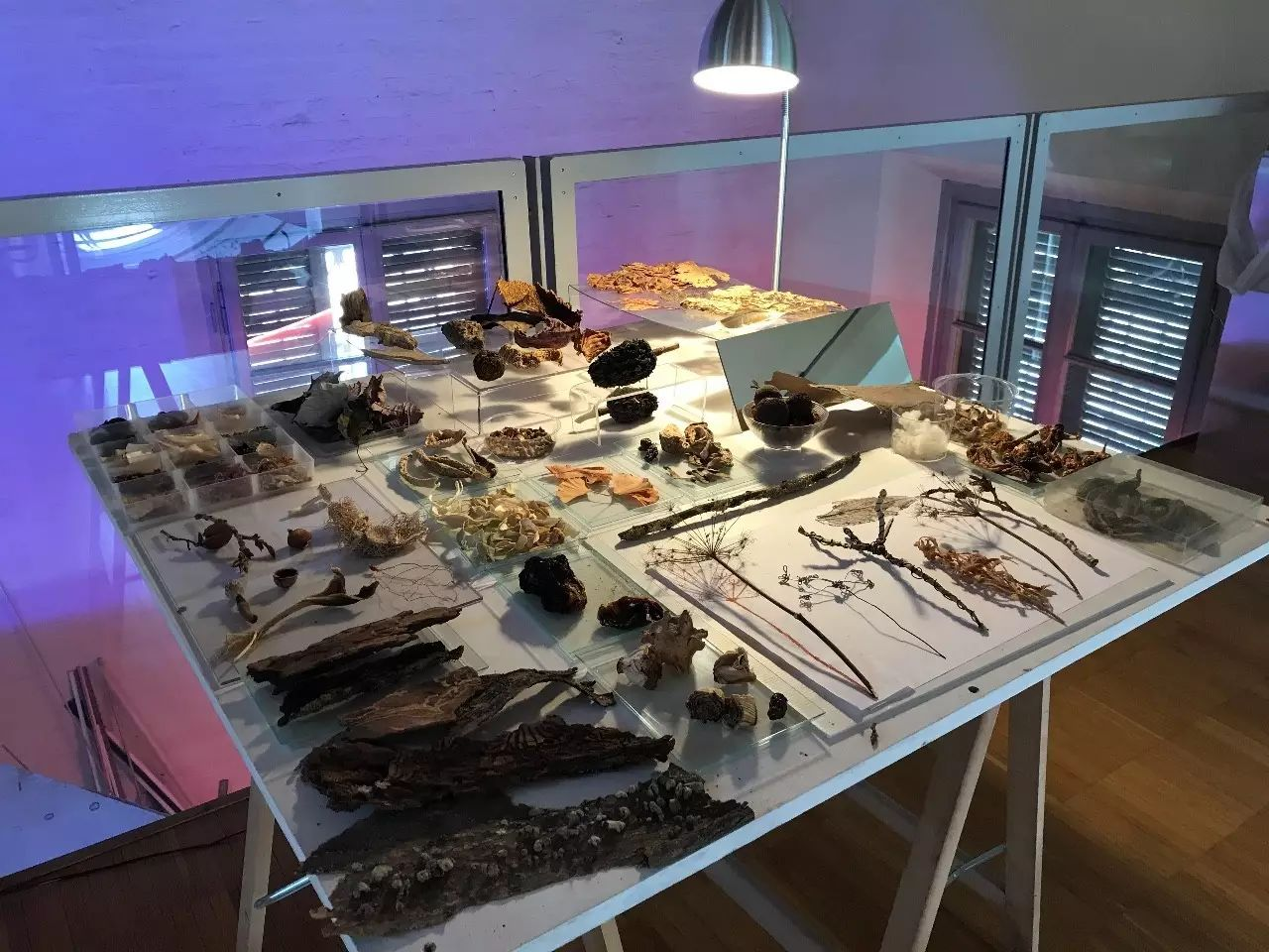 瑞吉欧实地探访全面了解真实的瑞吉欧幼儿园