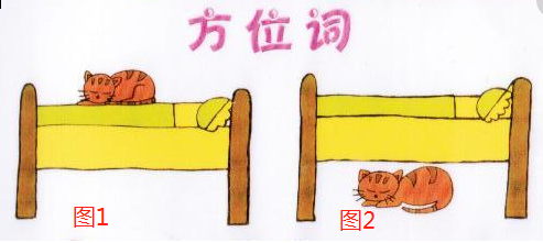 大班科学领域数学活动 | 认识方位-上下&前后