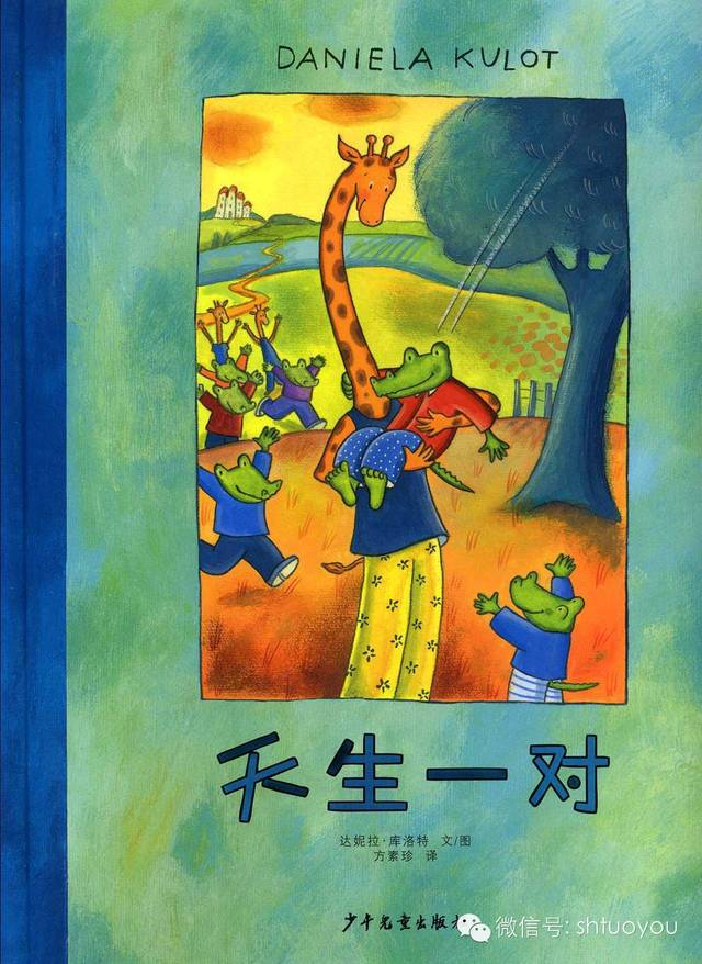 应彩云经典课例大班语言领域绘本天生一对