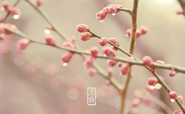 立春 立春这些可以和孩子做的事儿 你知道几个 幼师宝典官网