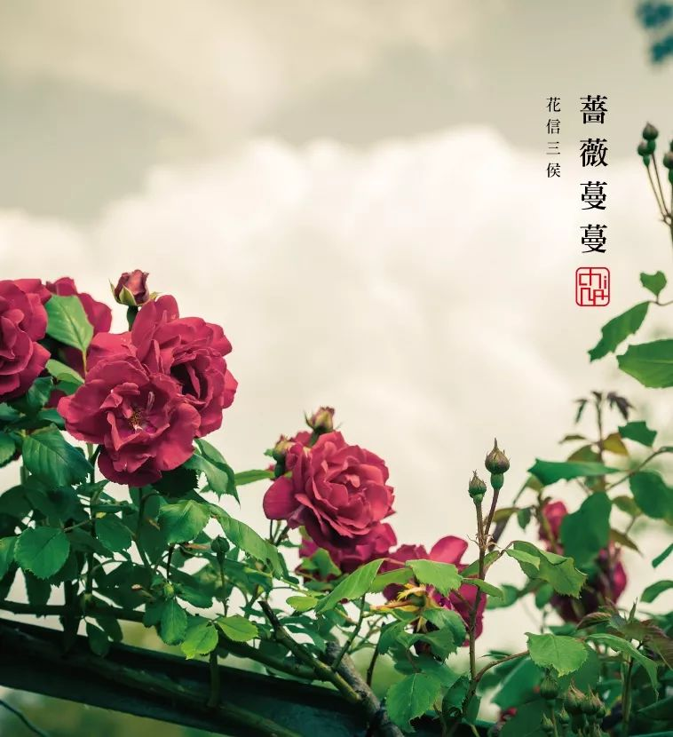 惊蛰如梦 美图欣赏 幼师宝典官网