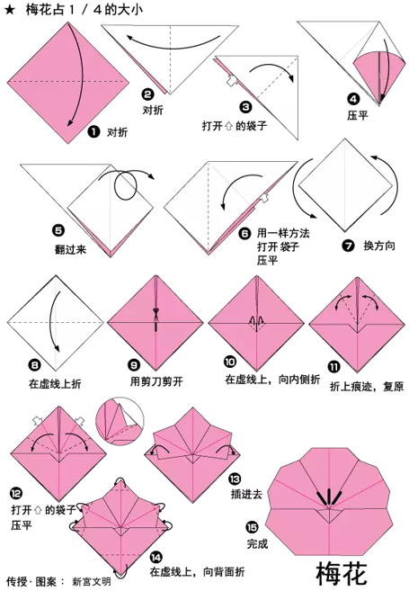 棕色彩纸和胶棒,然后按照下图的步骤折好,就可以得到一枝好看的梅花啦