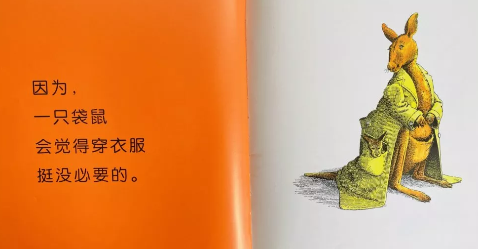 绘本欣赏 动物绝对不应该穿衣服 幼师宝典官网